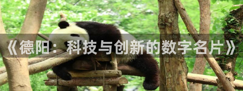 金年会体育app网页版入口