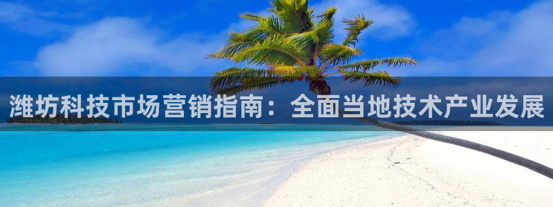 金年会黑不黑