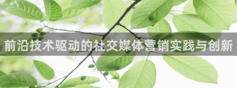 金年会体育合法吗