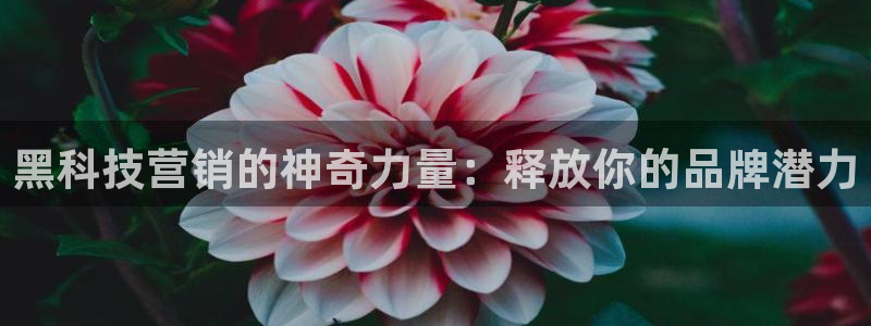 金年会网站不给提现怎么办?