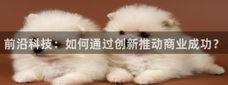 金年会体育全站