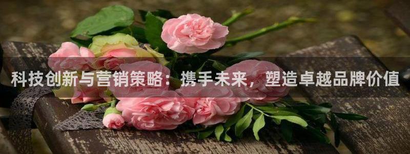 金年会电子app官方下载