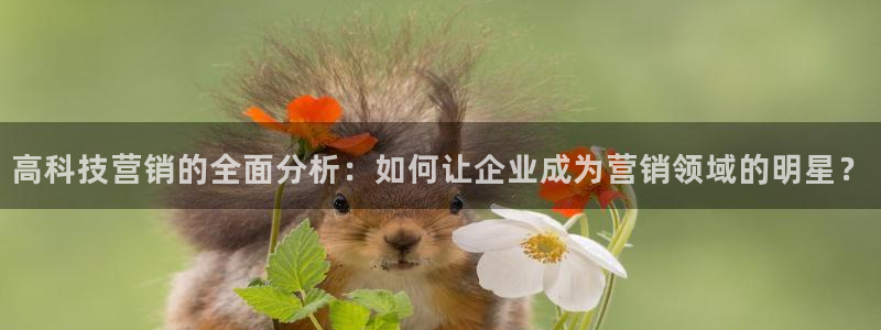 金年会vip网页版在线登录入口官网