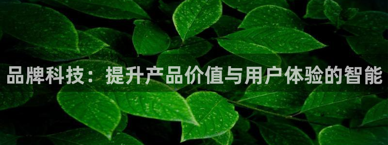 金年会黑平台不给出款