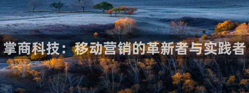 金年会网站不给提现怎么办?