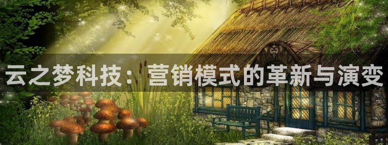金年会体育平台官网app