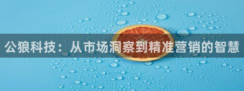 金年会官方网站入口登录手机版