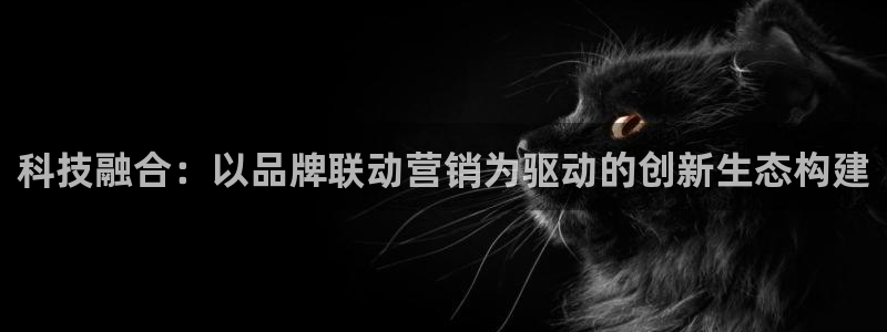 金年会网址