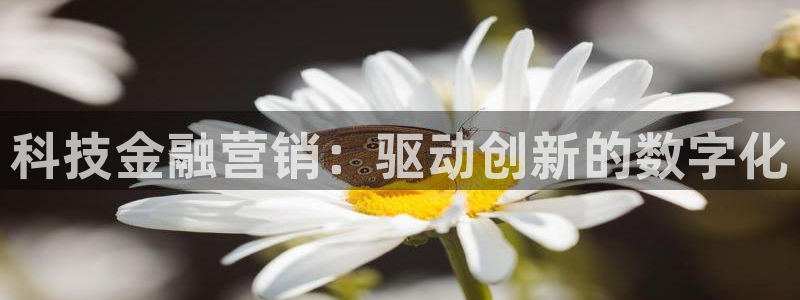 金年会官方在线入口网址是多少