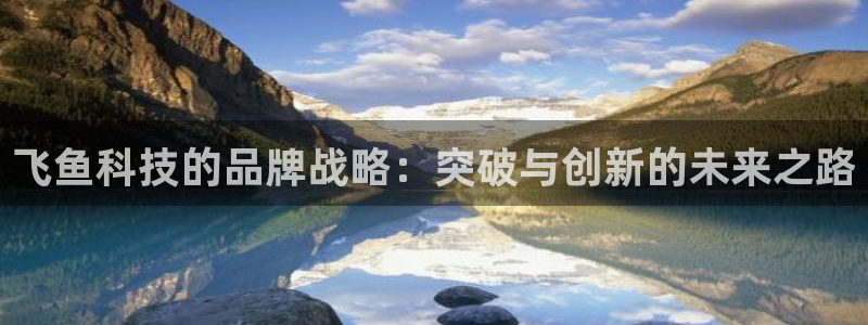 金年会体育app最新官网下载