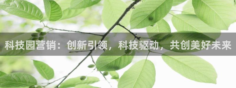 金年会pg官网：科技