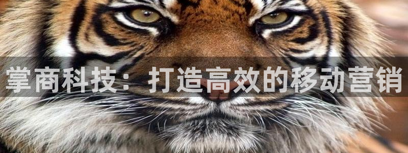 金年会官方登录入口网址是什么