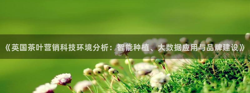 金年会诚信至上金字招牌