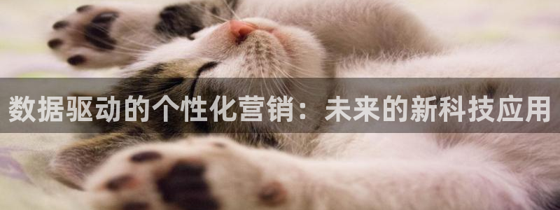 金年会网址导航