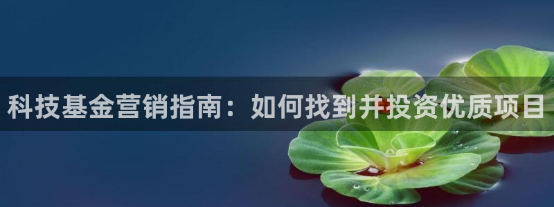金年会app官网下载