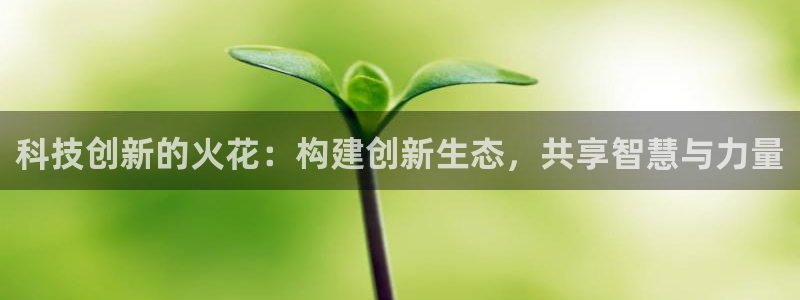金年会网址