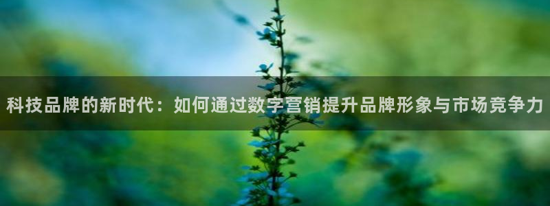 金年会体育app网页版官方入口