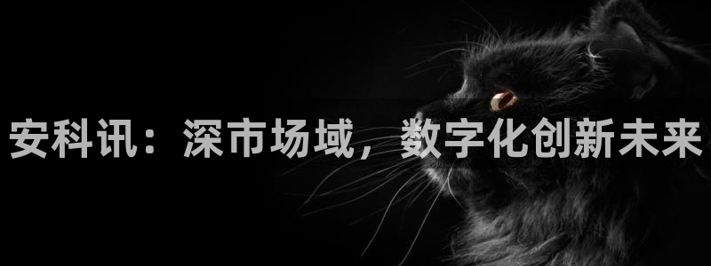 金年会金字招牌登录入口评测