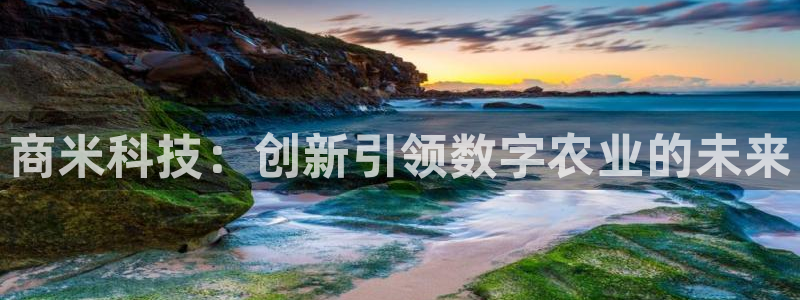 金年会官方在线登录网址是多少号