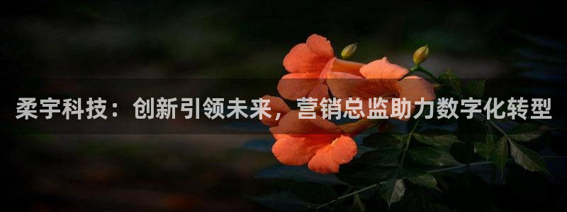 金年会app官网登录