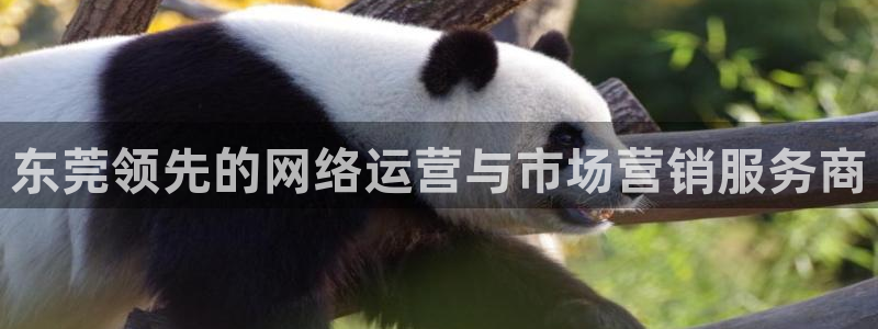 金年会体育论坛