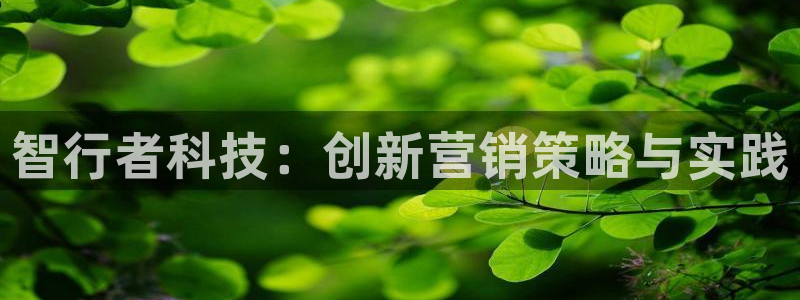 金年会体育是合法的吗