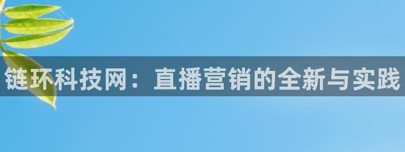 金年会体育app是干嘛的