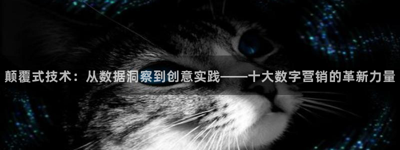 金年会赌博官网