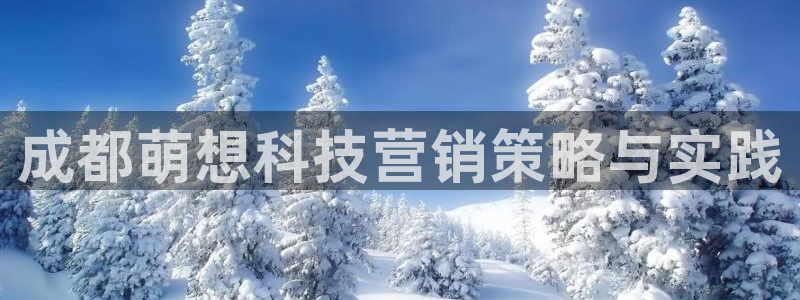 金年会官方入口APP