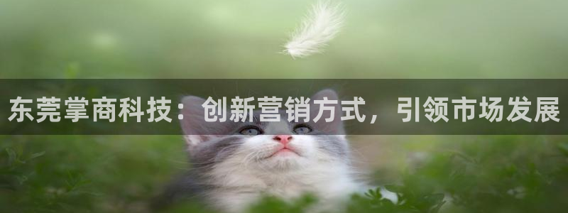 金年会vip888