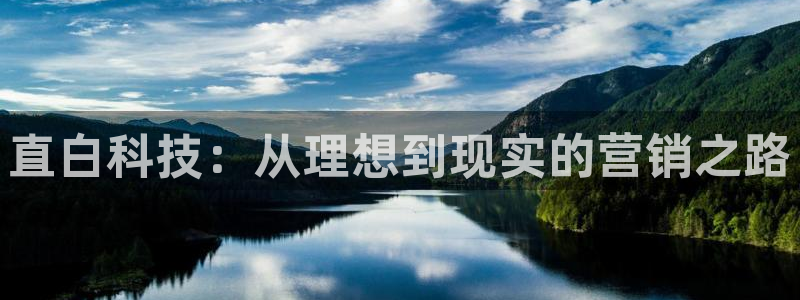 金年会体育如何：直白