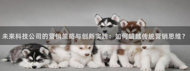 金年会体育官方平台