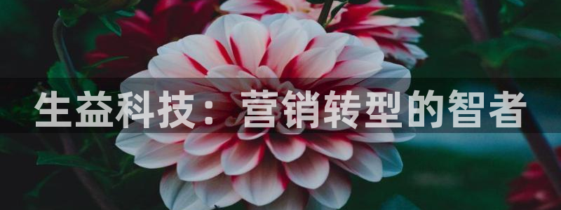金年会体育app下载官网安卓