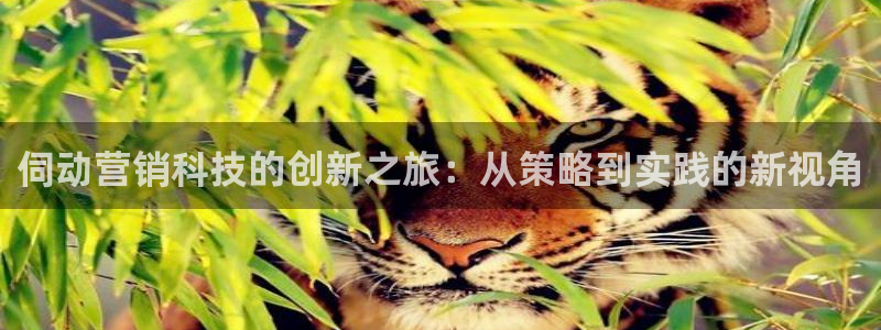 金年会金字招牌