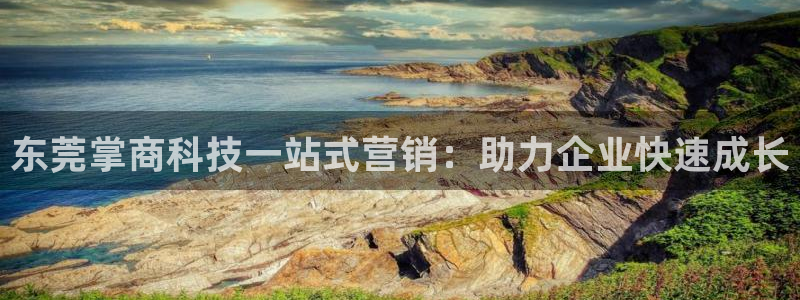 金年会电子游戏