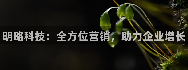 金年会电子游戏app官方