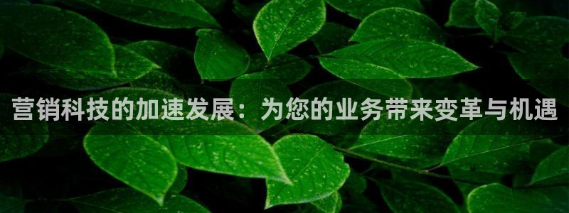 金年会官方平台是什么
